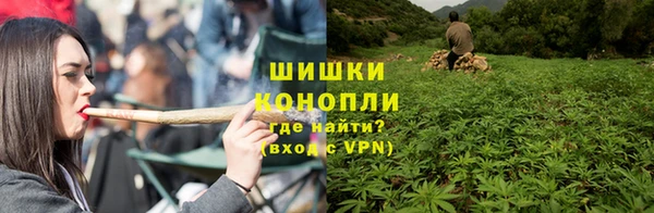 дурь Вяземский