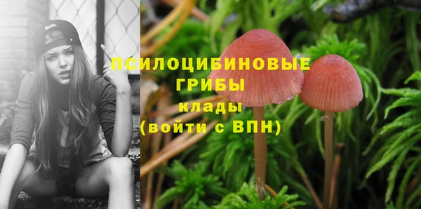 дурь Вяземский
