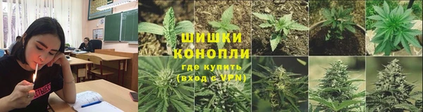 дурь Вяземский