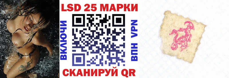 где продают наркотики  Щучье  kraken зеркало  Марки N-bome 1,5мг 