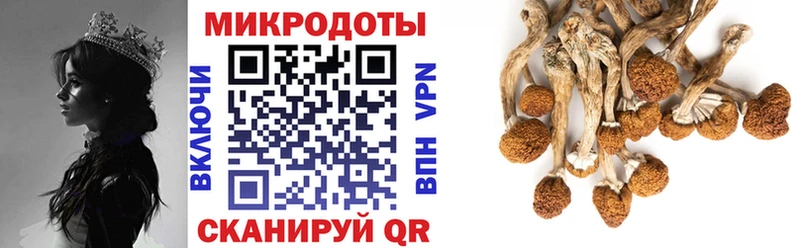 как найти   blacksprut   Псилоцибиновые грибы Psilocybe  Щучье 